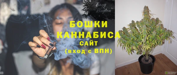 трава Армянск