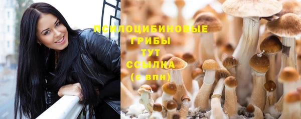 дмт Аркадак