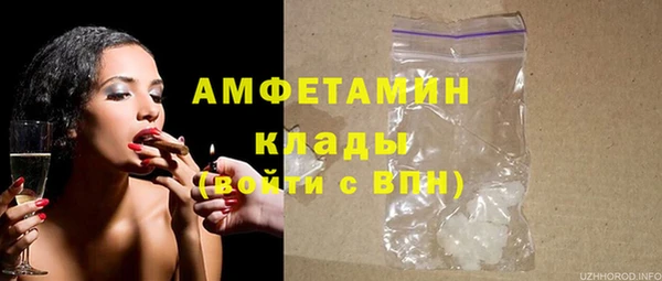 ПСИЛОЦИБИНОВЫЕ ГРИБЫ Арсеньев