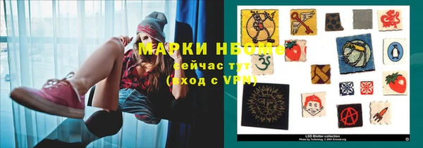 ПСИЛОЦИБИНОВЫЕ ГРИБЫ Арсеньев
