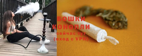 ПСИЛОЦИБИНОВЫЕ ГРИБЫ Арсеньев