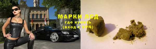 дмт Аркадак