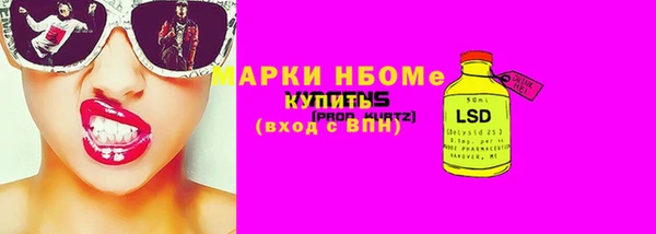 ПСИЛОЦИБИНОВЫЕ ГРИБЫ Арсеньев