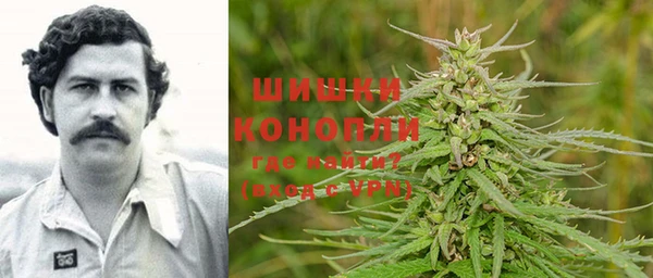ПСИЛОЦИБИНОВЫЕ ГРИБЫ Арсеньев