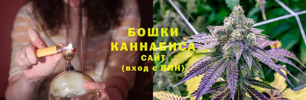 трава Армянск