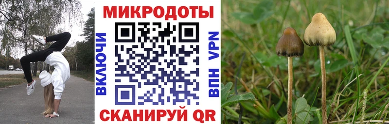 Псилоцибиновые грибы мицелий  hydra зеркало  Сковородино 